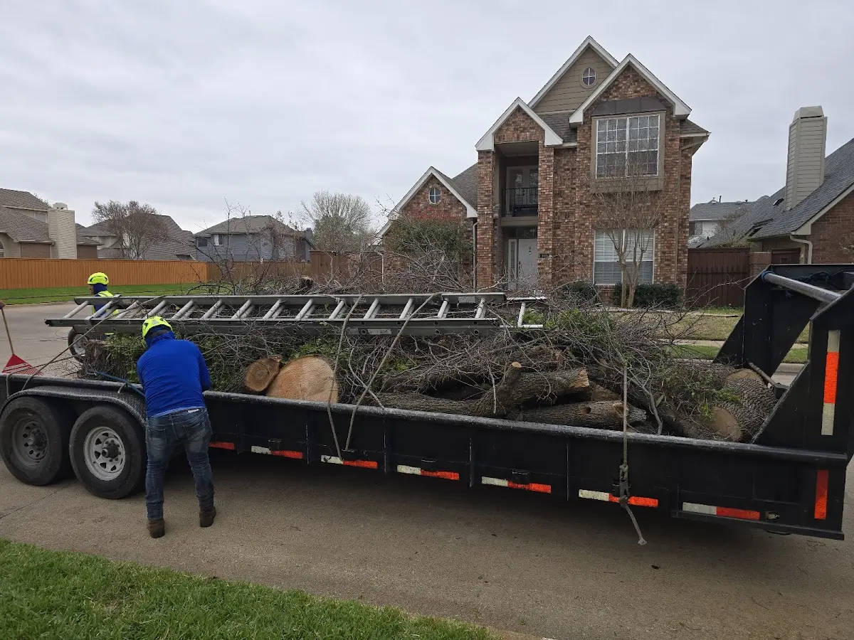 Expert Tree Removal with proper safety equipment in New Zion
